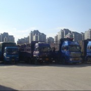 福州順利貨運 專業(yè)道路貨運服務(wù)專家